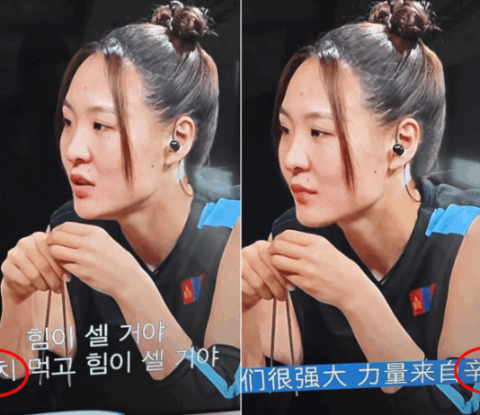 ‘김치=파오차이’ 중국 일방 주장 무색해졌다…넷플릭스서 ‘신치’로 표기