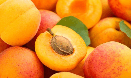 뼈 건강 지키는 의외의 고칼슘 과일 5가지